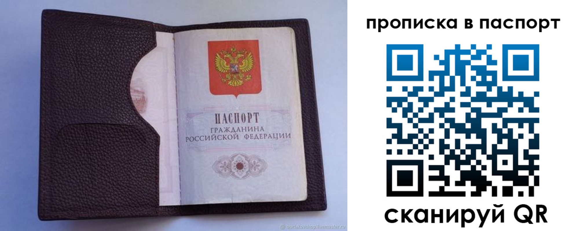 прописка законно в Орле